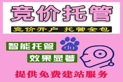 SEM竞价开户实战技巧：案例教学与解析